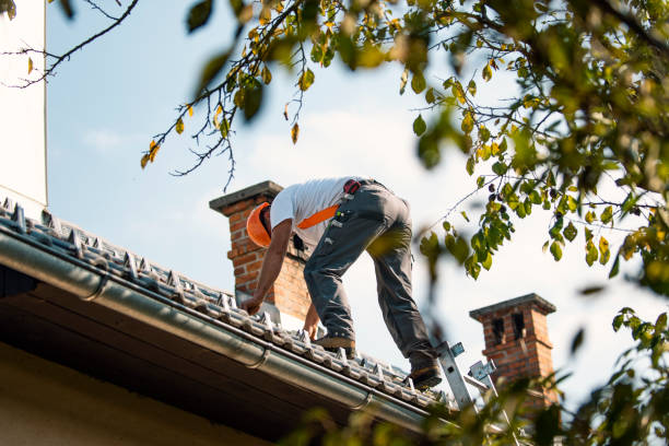 Best Roof Restoration Services  in Skagway, AK
