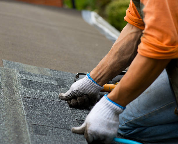 Best Shingle Roofing Installation  in Skagway, AK