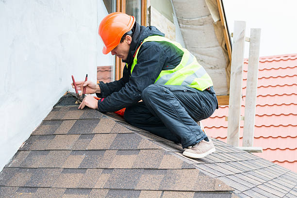Best Local Roofing Companies  in Skagway, AK