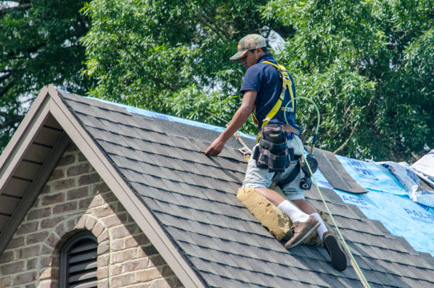 Roof Gutter Cleaning in Skagway, AK